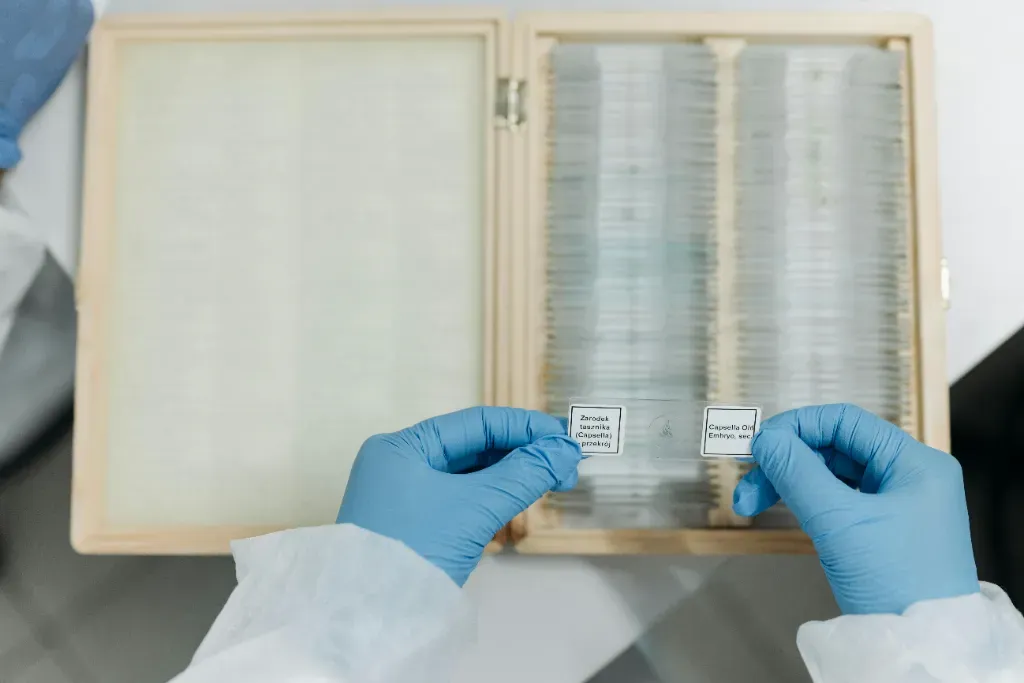 Szkiełko szafirowe – dlaczego jest niezastąpione w precyzyjnych zastosowaniach technicznych?